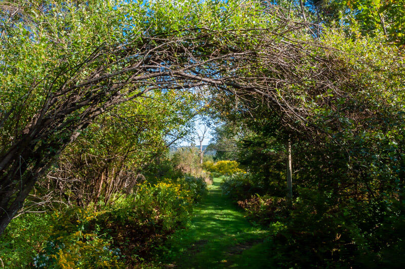 Avancer sur le chemin